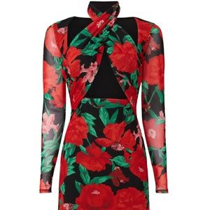 AFRM Lissa Mesh Mini Dress (small)